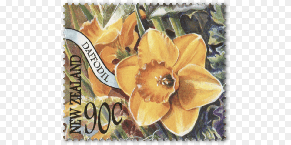 Rhododendron, Daffodil, Flower, Plant, Postage Stamp Png