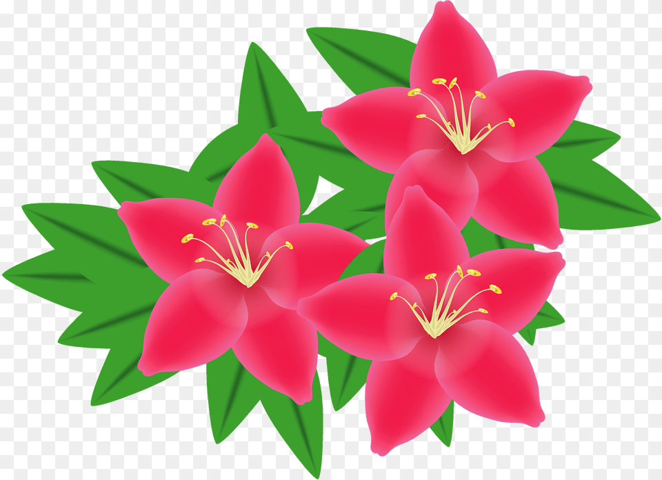 Rhododendron Flower Clipart, Anther, Petal, Plant, Animal Free Png Download