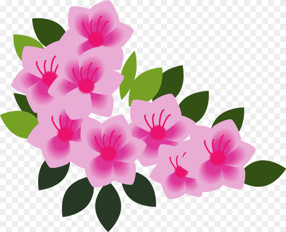 Rhododendron Flower Clipart, Geranium, Plant, Petal Png Image