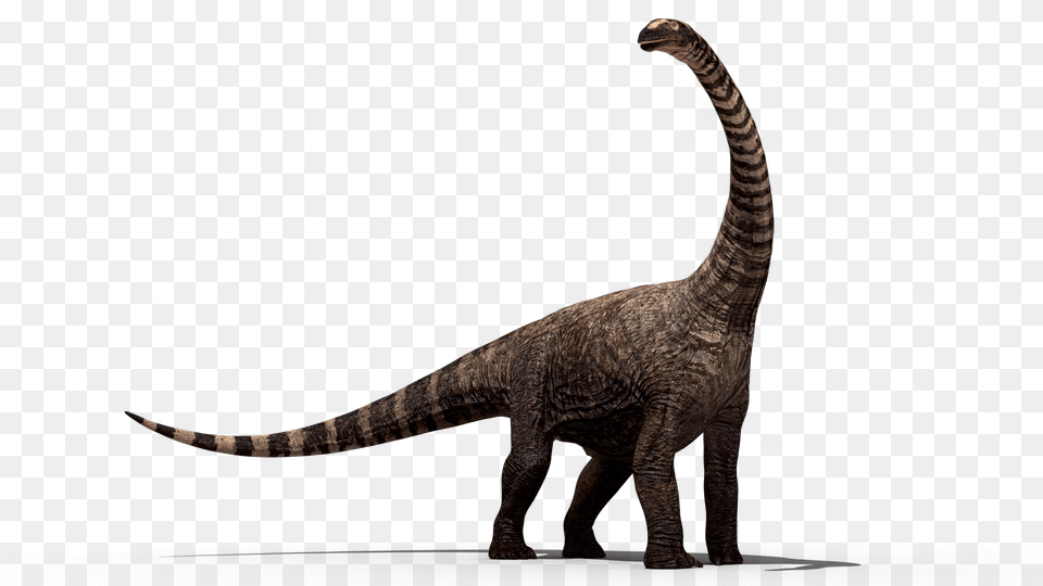 Rhohetosaurus, Animal, Dinosaur, Reptile, T-rex Free Png