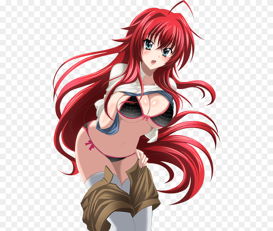 Rias Gremory High School Dxd, Book, Comics, Publication, Person Png Image