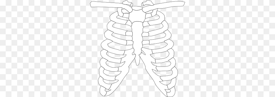 Rib Cage Person, Ct Scan Free Png Download