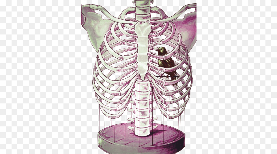 Rib Cage Bird With Bird In Rib Cage, Body Part, Person, Torso, Spiral Png Image