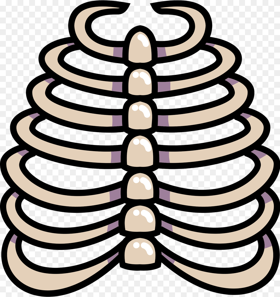 Rib Cage Clipart, Plant, Tree, Christmas, Christmas Decorations Png Image