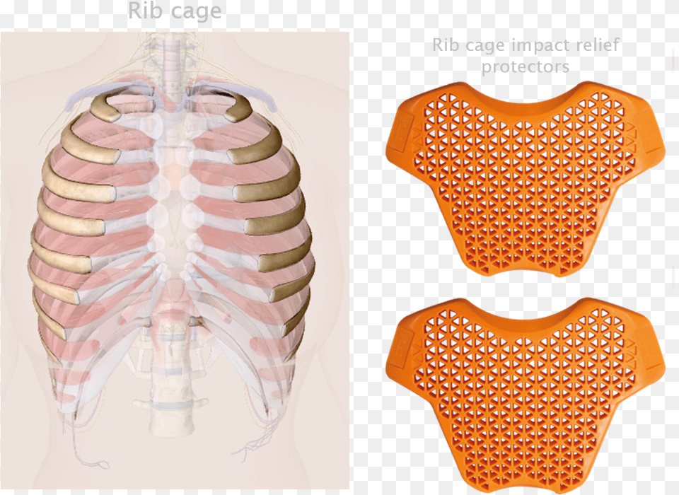 Rib Cage Impact Relief Protectors Sport Gard Protectors Rib, Body Part, Person, Torso, Smoke Pipe Free Png