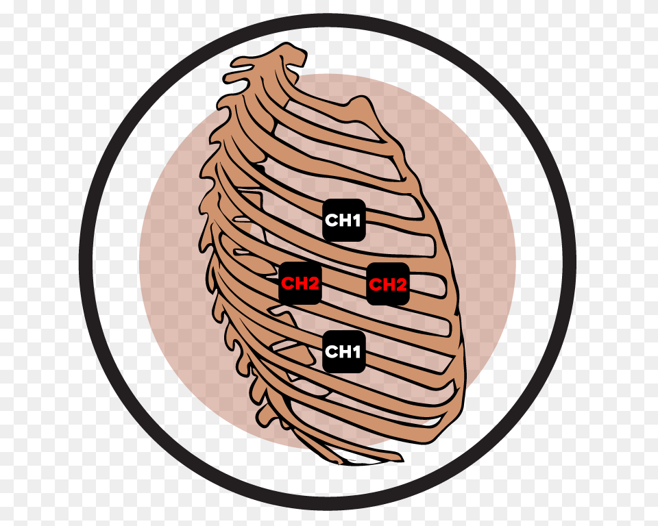 Rib Cage Ireliev Png
