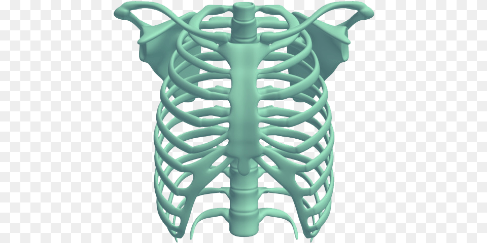 Rib Cage Rib Cage, Smoke Pipe, Coil, Spiral, Body Part Png Image