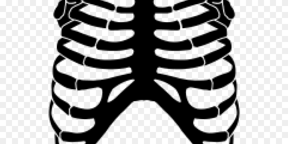 Rib Cage Transparent Images Skeleton Rib Cage Clipart, Gray Png