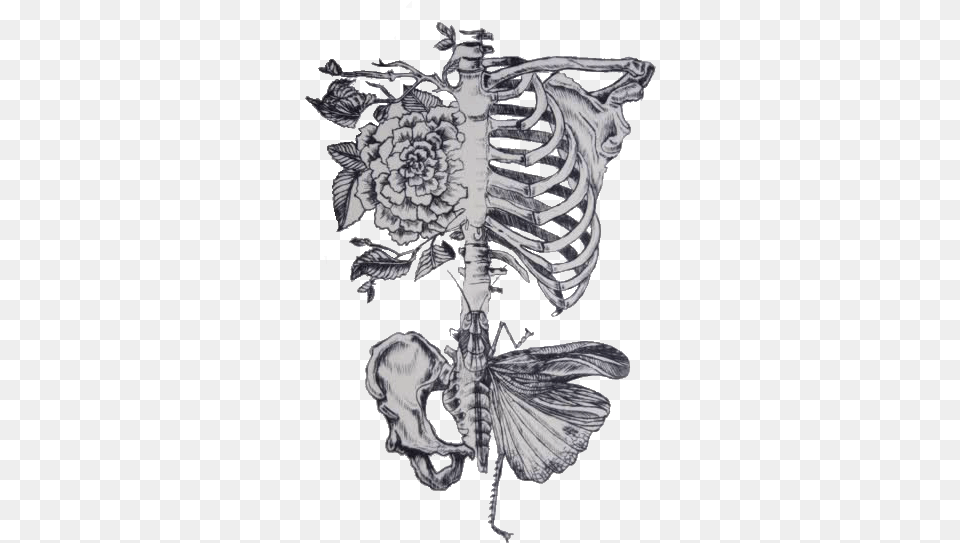 Rib Roses Butterfly Pelvis Dont Need No Butterflies When You Give Me The Whole, Art Png