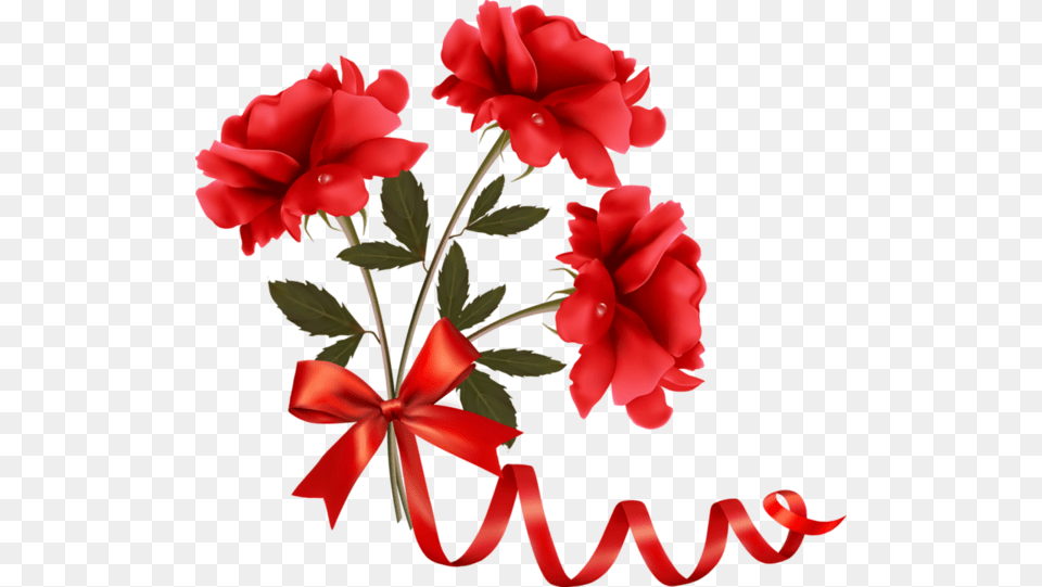 Ribbon With Flower Design, Geranium, Plant, Rose, Petal Free Png