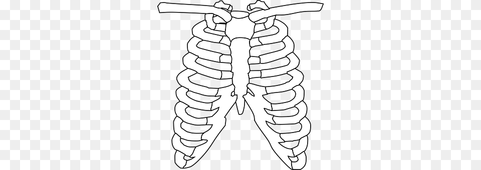 Ribcage Baby, Person, Ct Scan Png Image