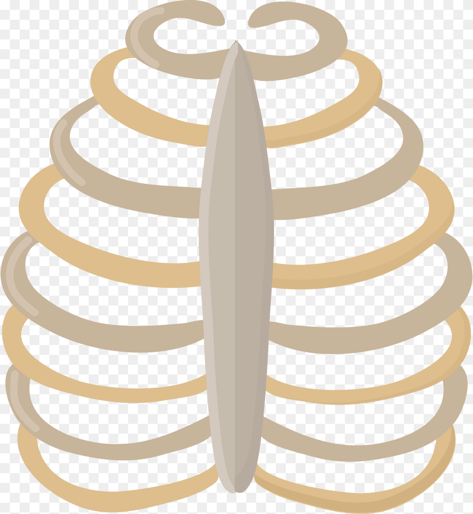 Ribcage Clipart, Spiral, Coil, Water, Sea Free Png Download