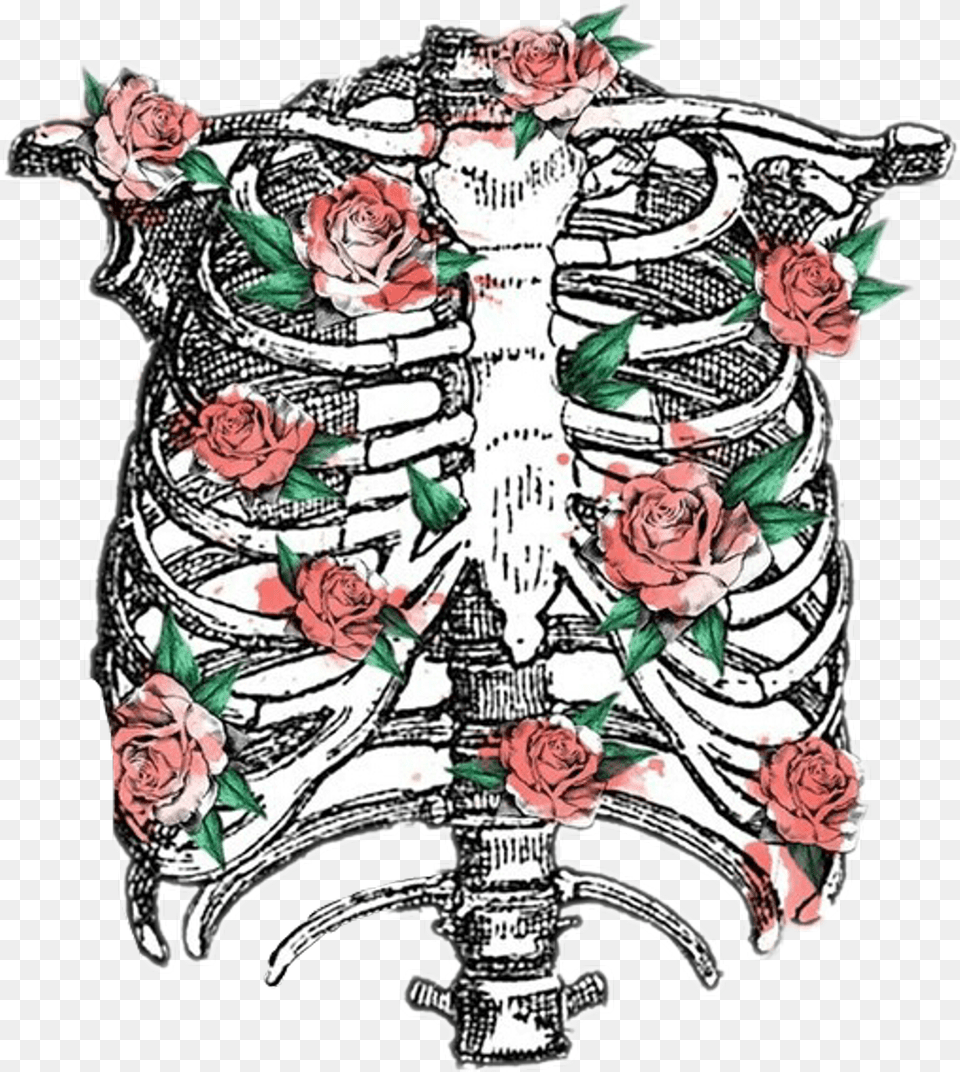Ribcage Sticker Rib Cage Transparent, Accessories, Art, Rose, Plant Free Png