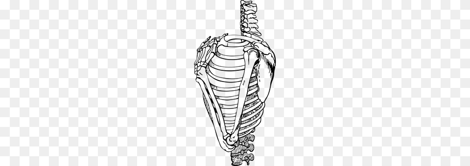 Ribs Person Png