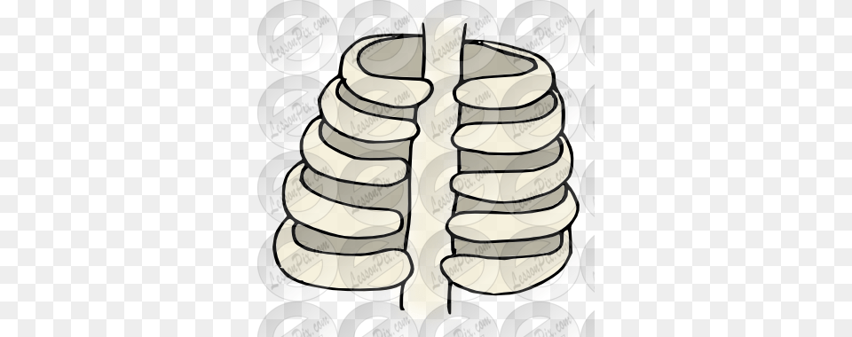 Ribs Picture For Classroom Therapy Use, Coil, Spiral Png