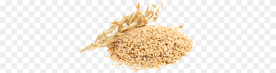 Rice, Food, Grain, Produce, Wheat Free Png Download