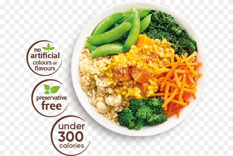 Rice Amp Curry, Food, Lunch, Meal, Plate Free Png