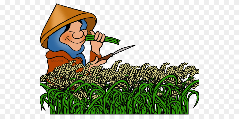 Rice Clipart, Agriculture, Outdoors, Nature, Countryside Free Png Download