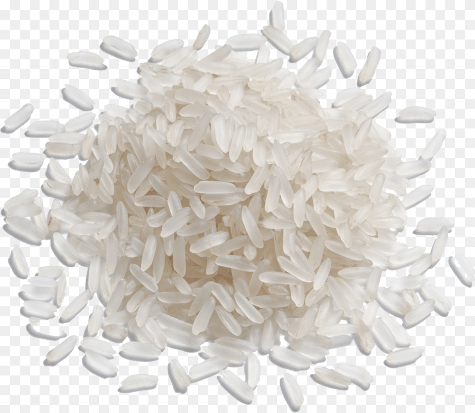 Rice Grain Of Rice Png