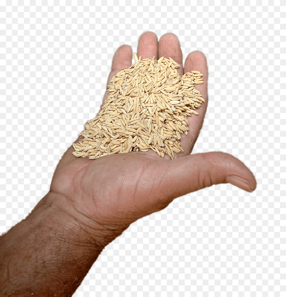 Rice In Hand, Food, Cumin, Spice Free Png