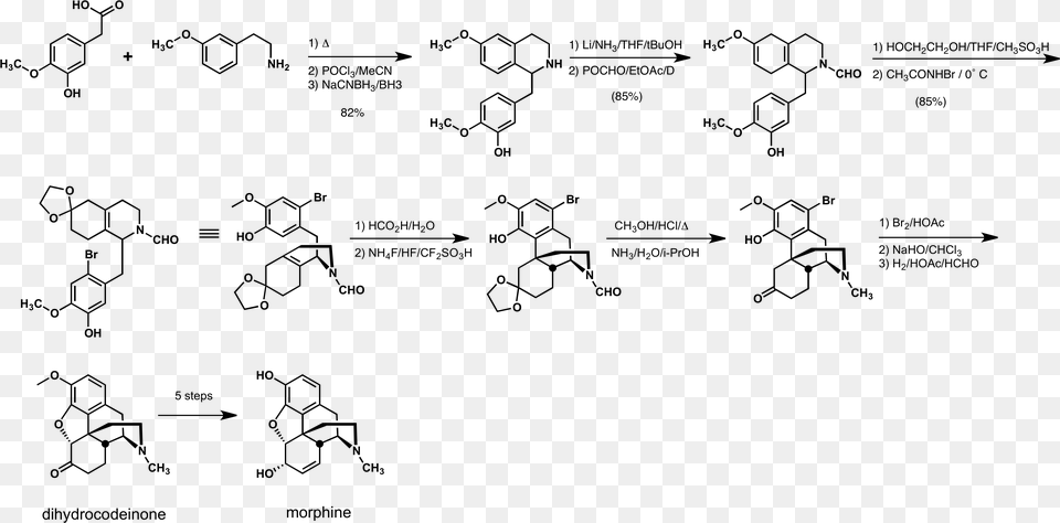 Rice Morphine Synthesis Biosynthesis Of Morphine Alkaloids, Gray Free Transparent Png