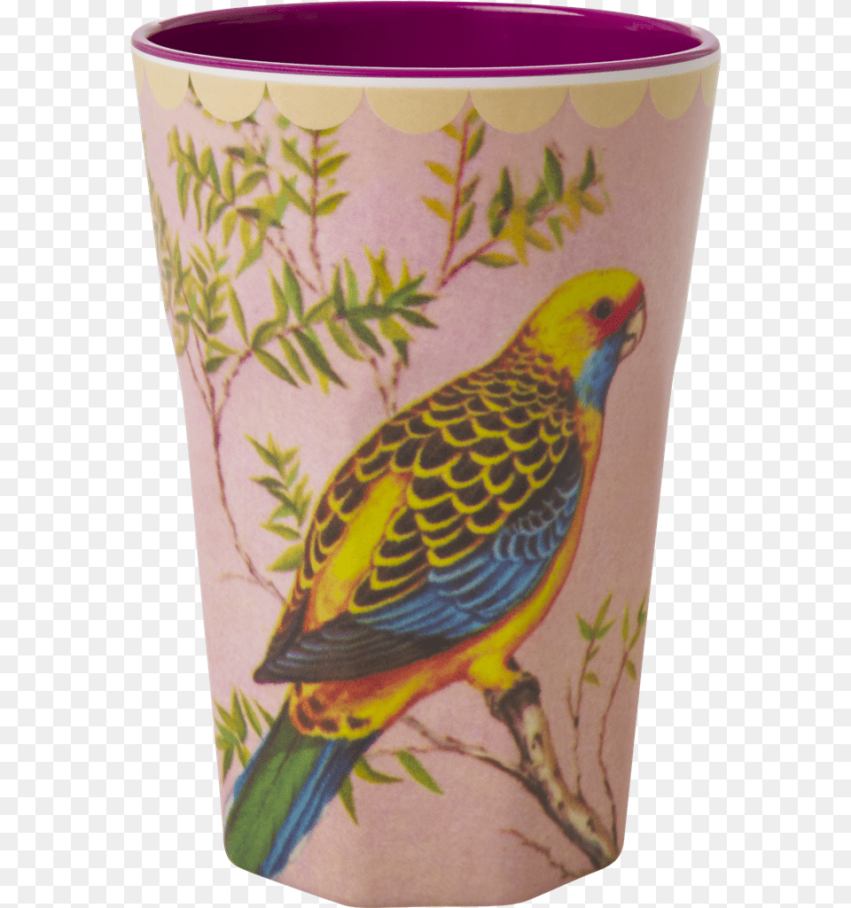 Rice Mugg, Animal, Bird Free Transparent Png