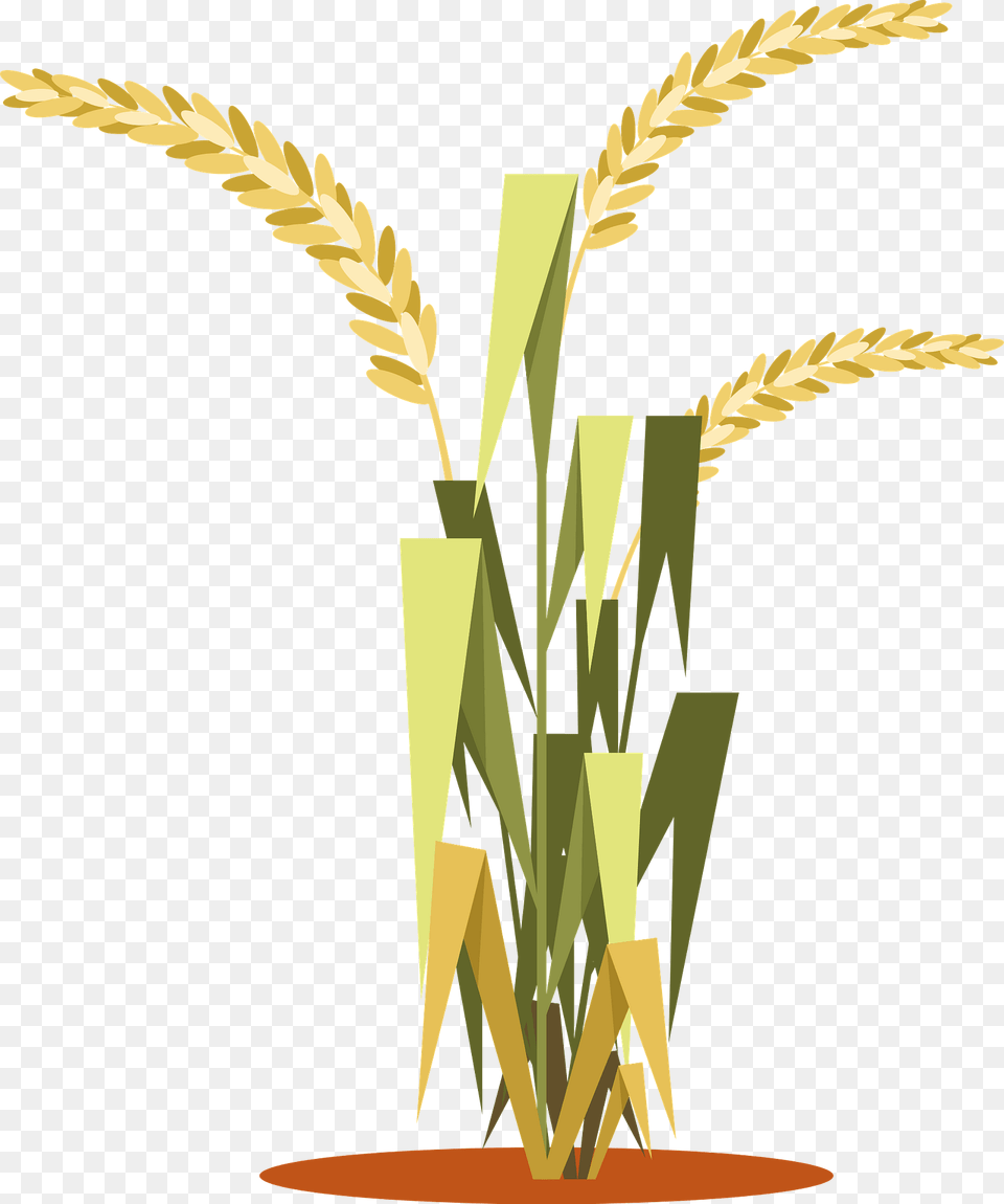 Rice Plant Clipart, Grass, Vegetation, Food, Grain Png Image