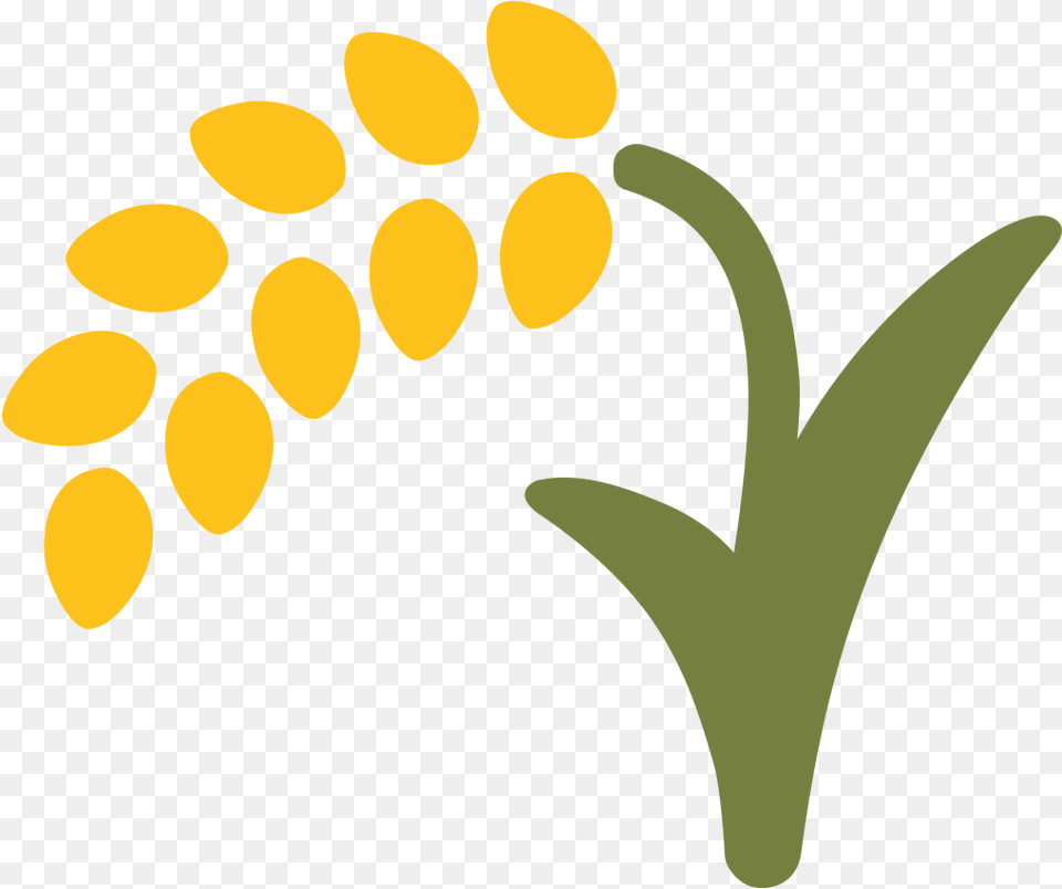 Rice Plant Icon Clipart Download Rice Symbol, Flower, Petal, Sunflower Png