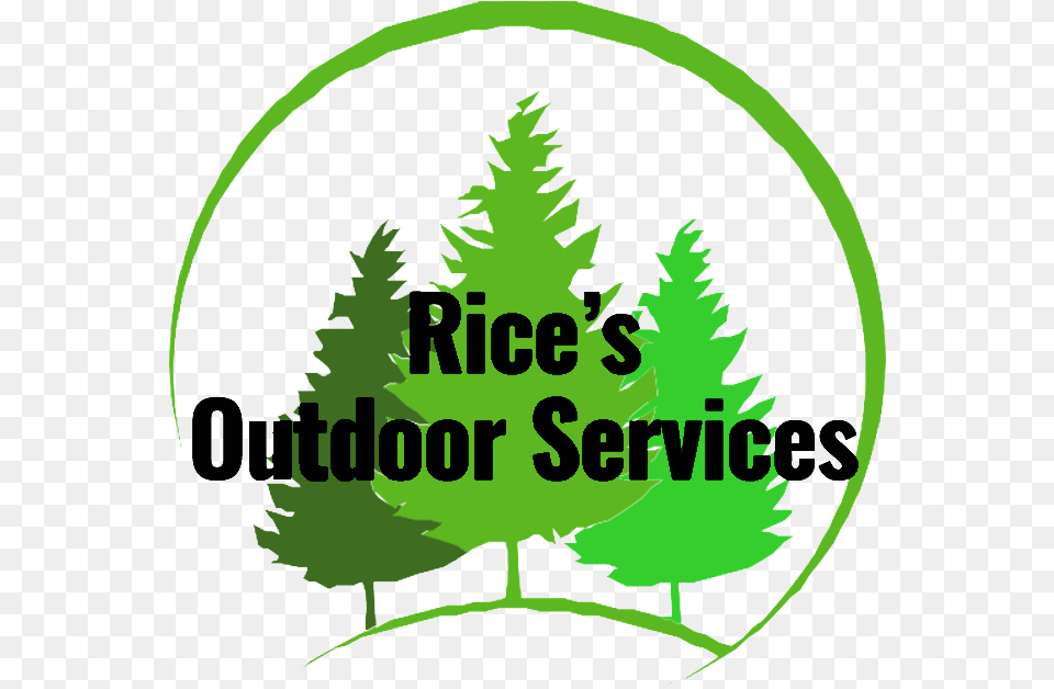 Rices Outdoor Services Illustration, Green, Plant, Tree, Fir Png Image