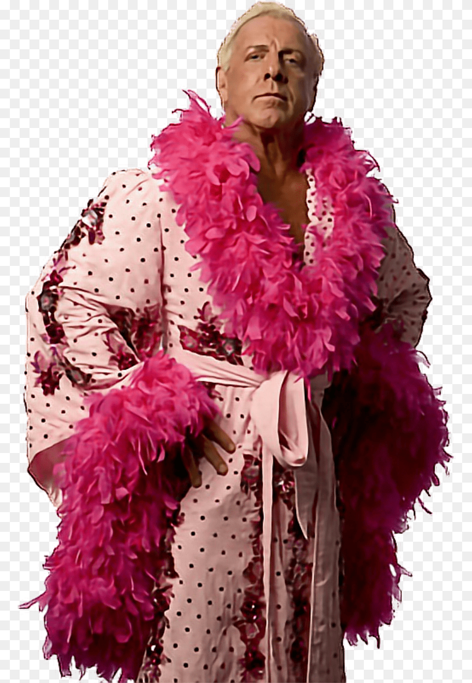 Ricflair Wooooo Thenatureboy Wwe Wwestickers Wwefans Ric Flair Funny Costume, Accessories, Adult, Female, Person Png Image