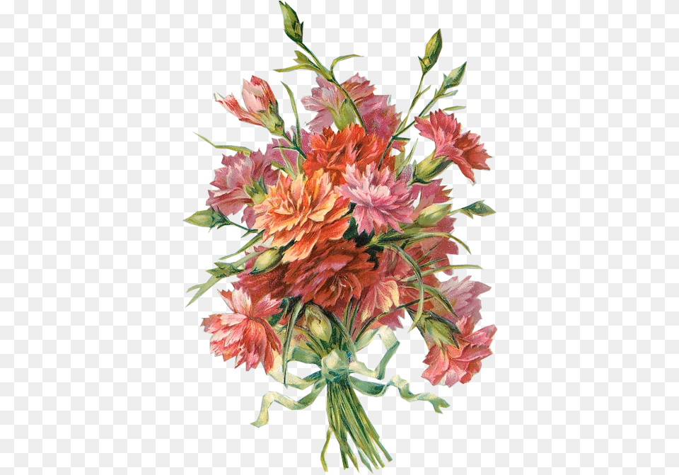 Richard Moulton Tuckdb Org Carnations Flower Bouquet Carnation Vintage Art, Pattern, Graphics, Flower Bouquet Free Png Download