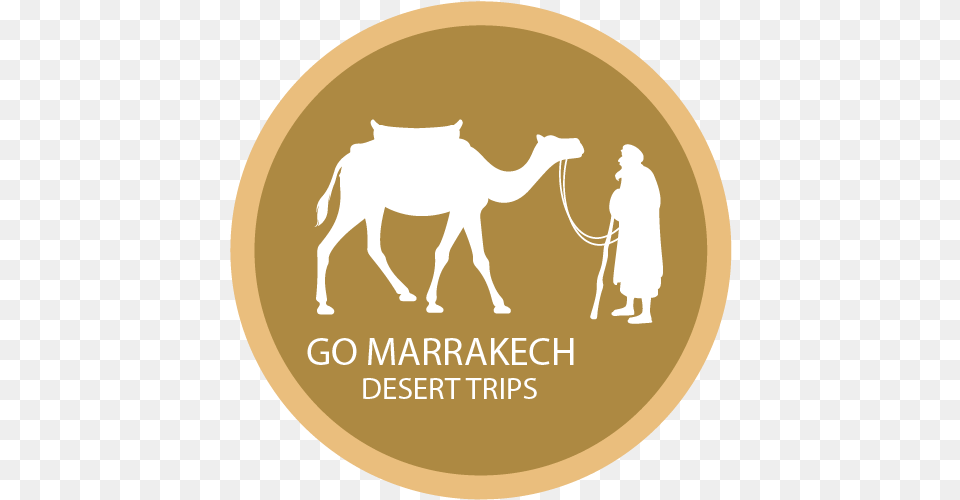 Ride A Camel In Marrakech Palm Grove Arabian Camel, Adult, Male, Man, Person Png