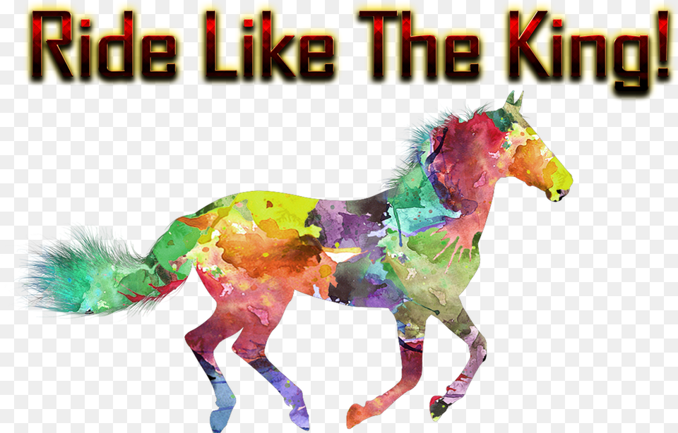 Ride Like The King Background Illustration Horses, Animal, Mammal, Horse, Person Free Png Download