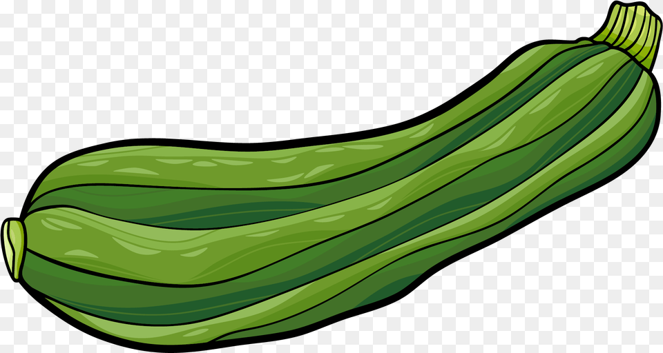 Ridge Gourd Konfest, Food, Plant, Produce, Squash Png Image