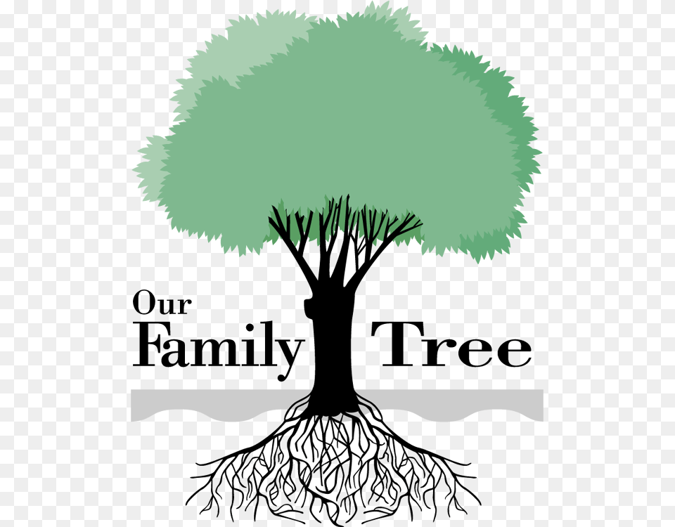 Ridgway Family Tree Clipart My Family Tree Clipart, Book, Publication, Comics, Stencil Free Png Download