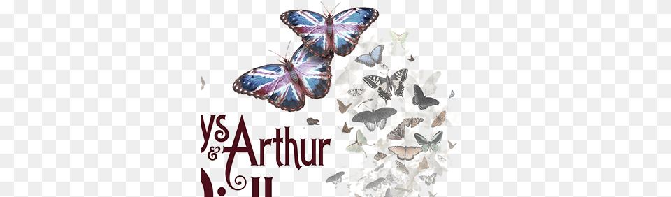 Ridley Projects Photos Videos Logos Illustrations And Girly, Art, Collage, Animal, Butterfly Png Image
