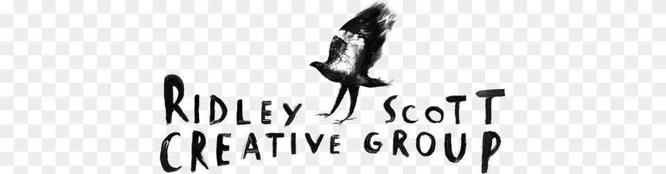 Ridley Scott Creative Group, Animal, Bird, Blackbird, Person Free Transparent Png