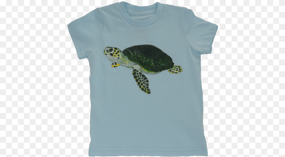 Ridley Sea Turtle, Animal, Clothing, Reptile, Sea Life Png