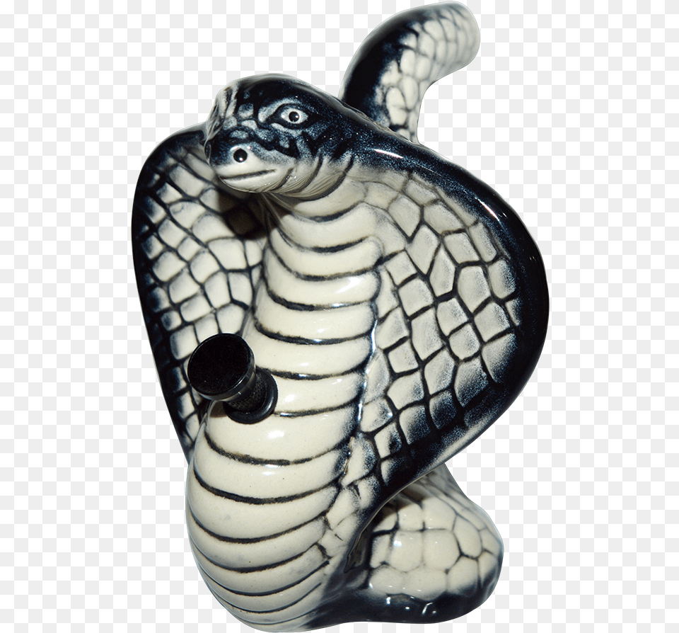 Ridley Sea Turtle, Animal, Cobra, Reptile, Snake Png