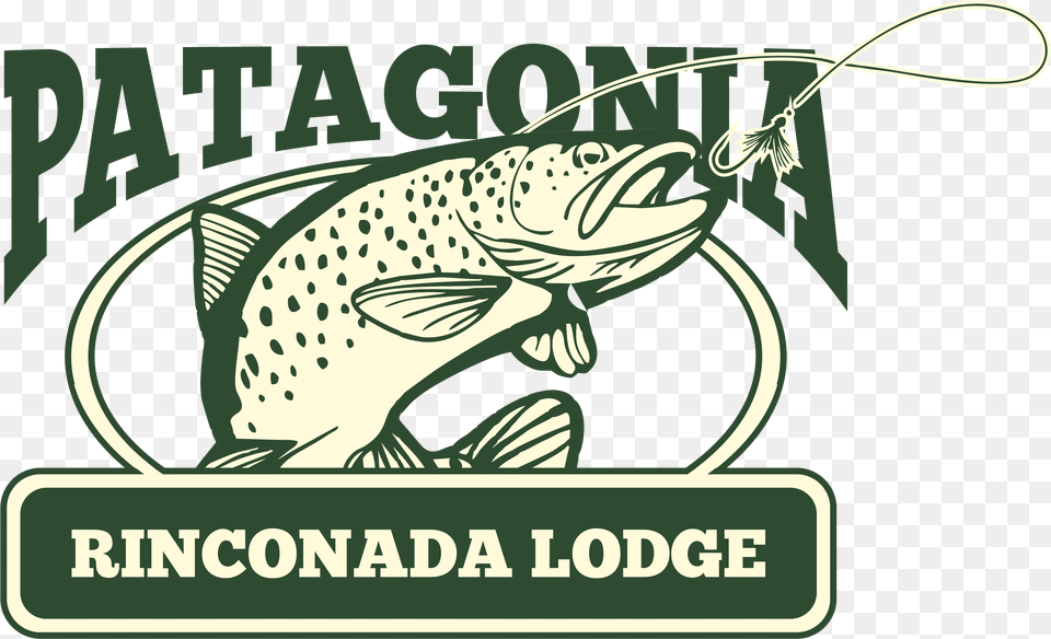 Rinconada Lodge Live Bait, Animal, Fish, Trout, Sea Life Png Image