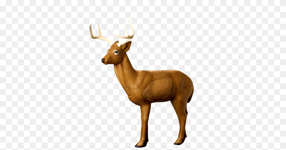 Rinehart Woodland Buck Archery Target, Animal, Deer, Elk, Mammal Free Png
