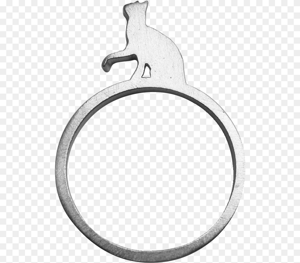 Ring, Accessories, Jewelry, Device, Silver Free Png