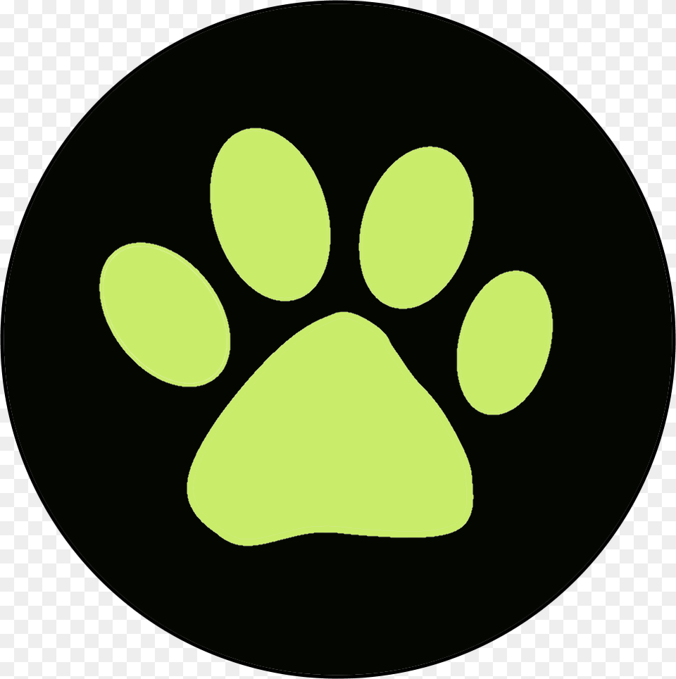 Ring Cat Noir Ring Logo, Symbol Free Transparent Png