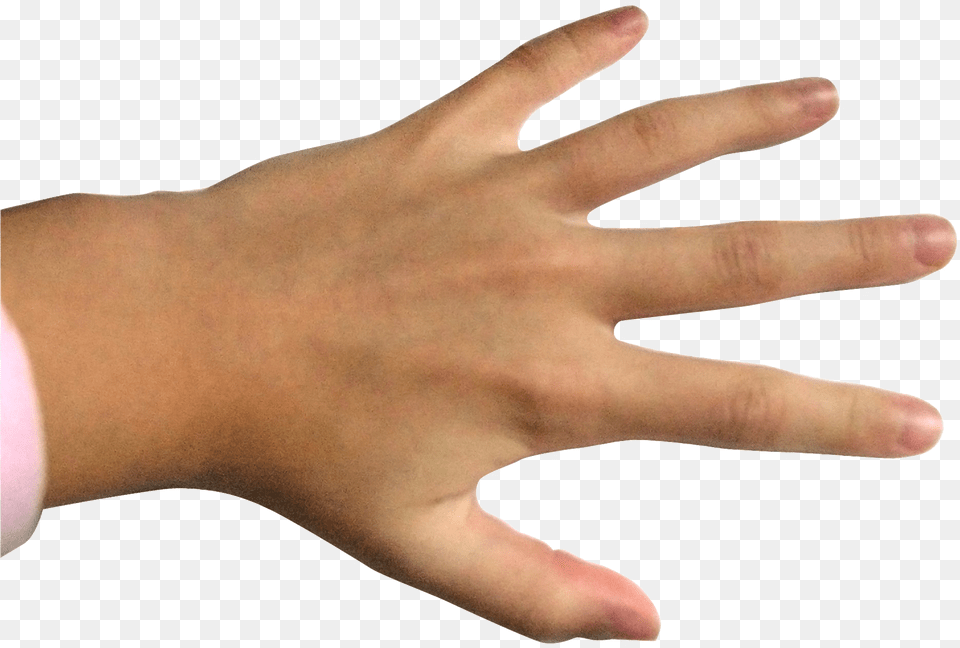 Ring Finger, Body Part, Hand, Person, Wrist Free Transparent Png