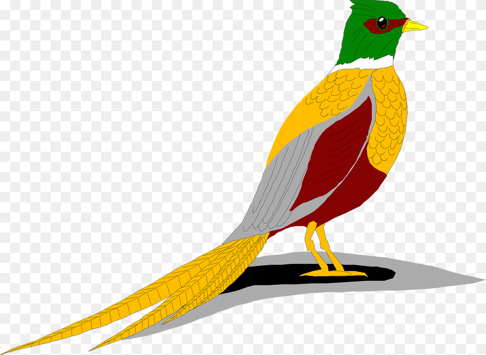 Ring Necked Pheasant Clip Art, Animal, Bird, Beak Free Transparent Png