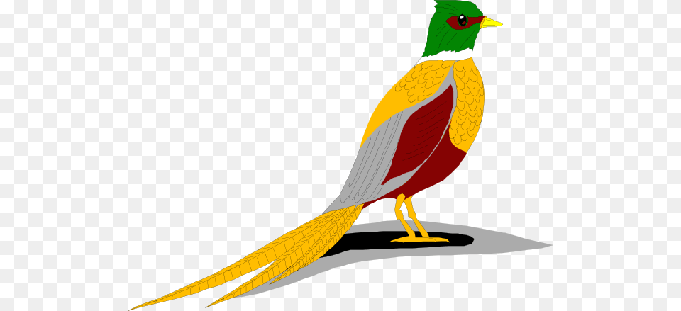 Ring Necked Pheasant Clip Arts Download, Animal, Bird, Beak Png Image