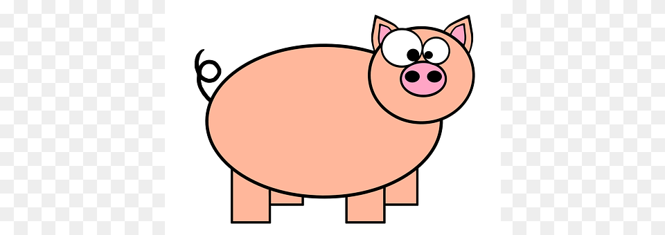 Ring Tailed Animal, Mammal, Pig, Hog Free Transparent Png