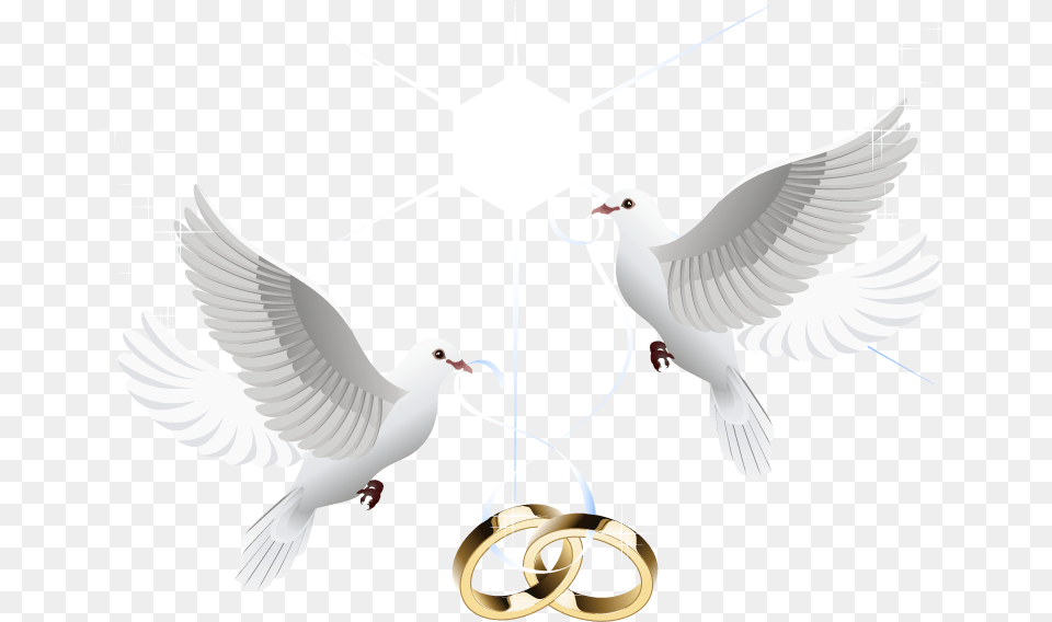 Ring Vector Marriage Wedding Hd Clipart Wedding Dove, Animal, Bird, Pigeon Free Png Download