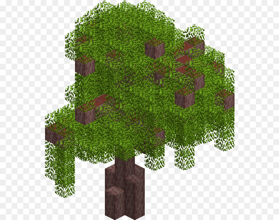 Rings Minecraft Mod Wiki Tree Mahogany, Woodland, Vegetation, Plant, Outdoors Free Png Download