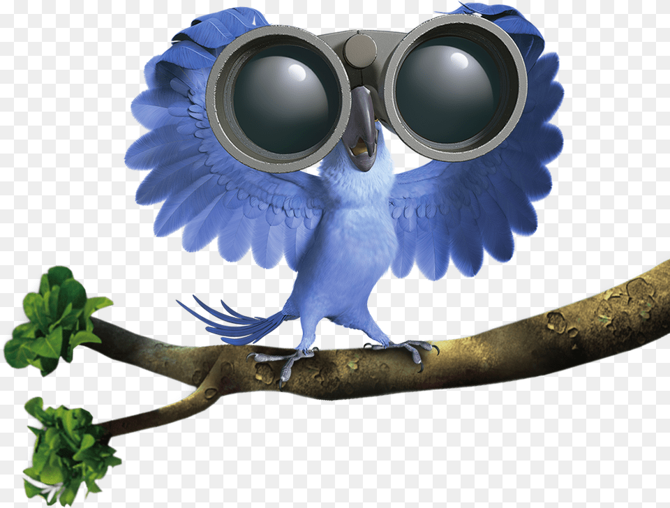 Rio 2 Character, Animal, Bird, Binoculars Png